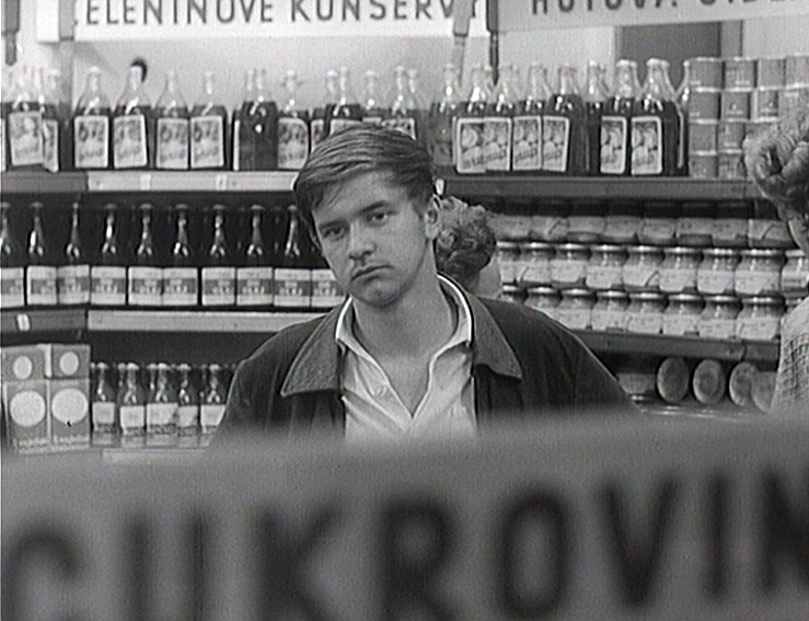 Insolenza e fragilità: 