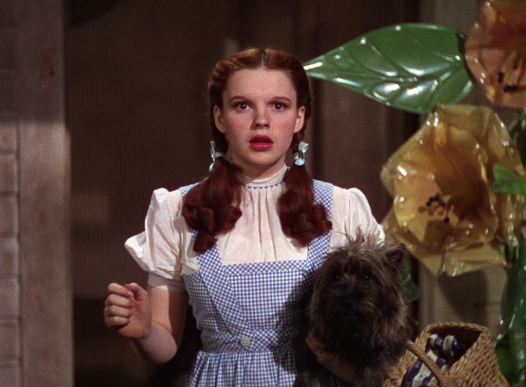 Il mago di Oz”, Dorothy e la child woman | Cinefilia Ritrovata | Il  giornale della passione per il Cinema