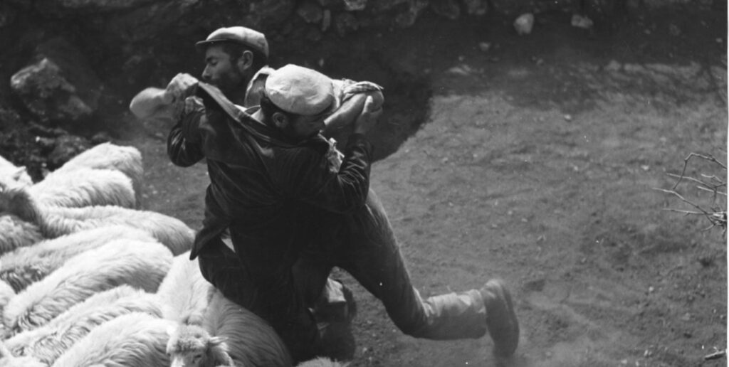 Il paesaggio e il fucile. 