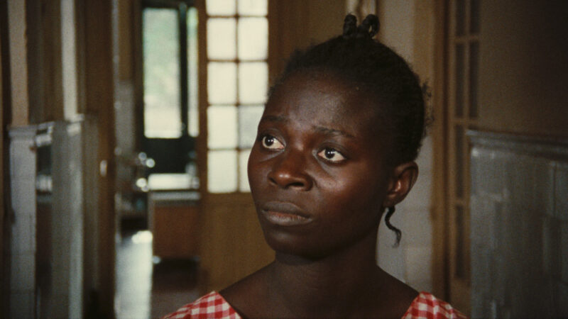 Politiche del lutto nel Terzo Cinema